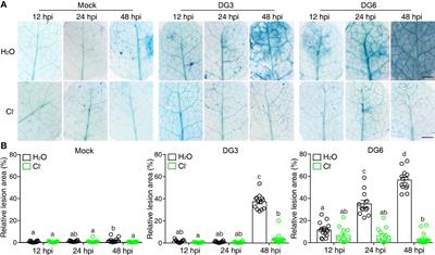 Chloride salt enhances plant resistance to biotic stresses